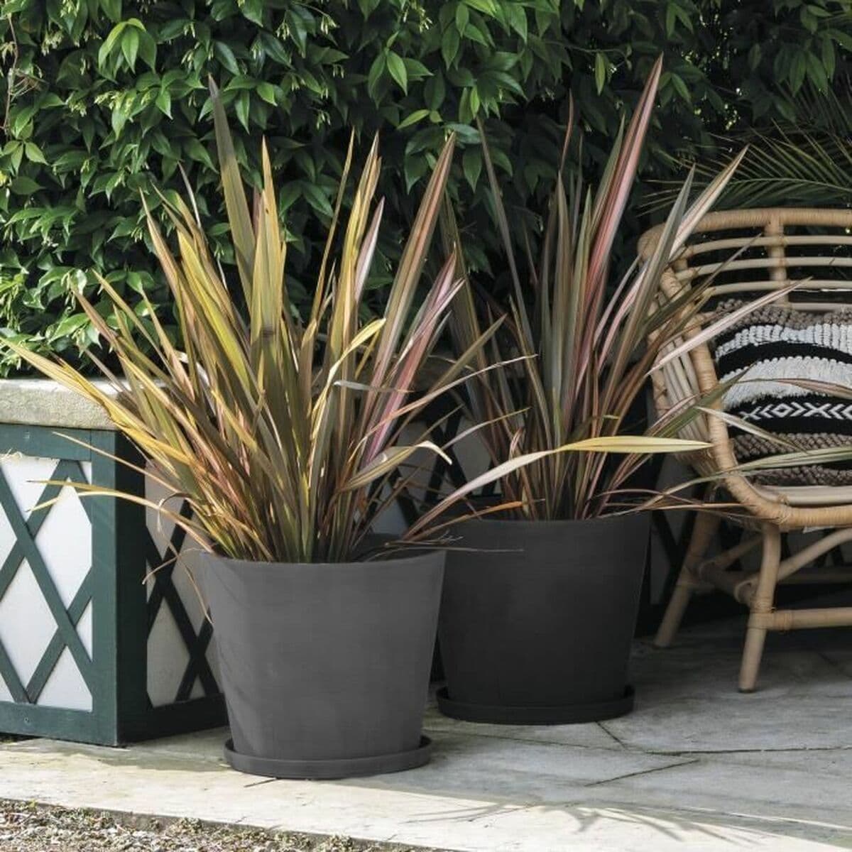 Kruka Deroma — thumbnail 4