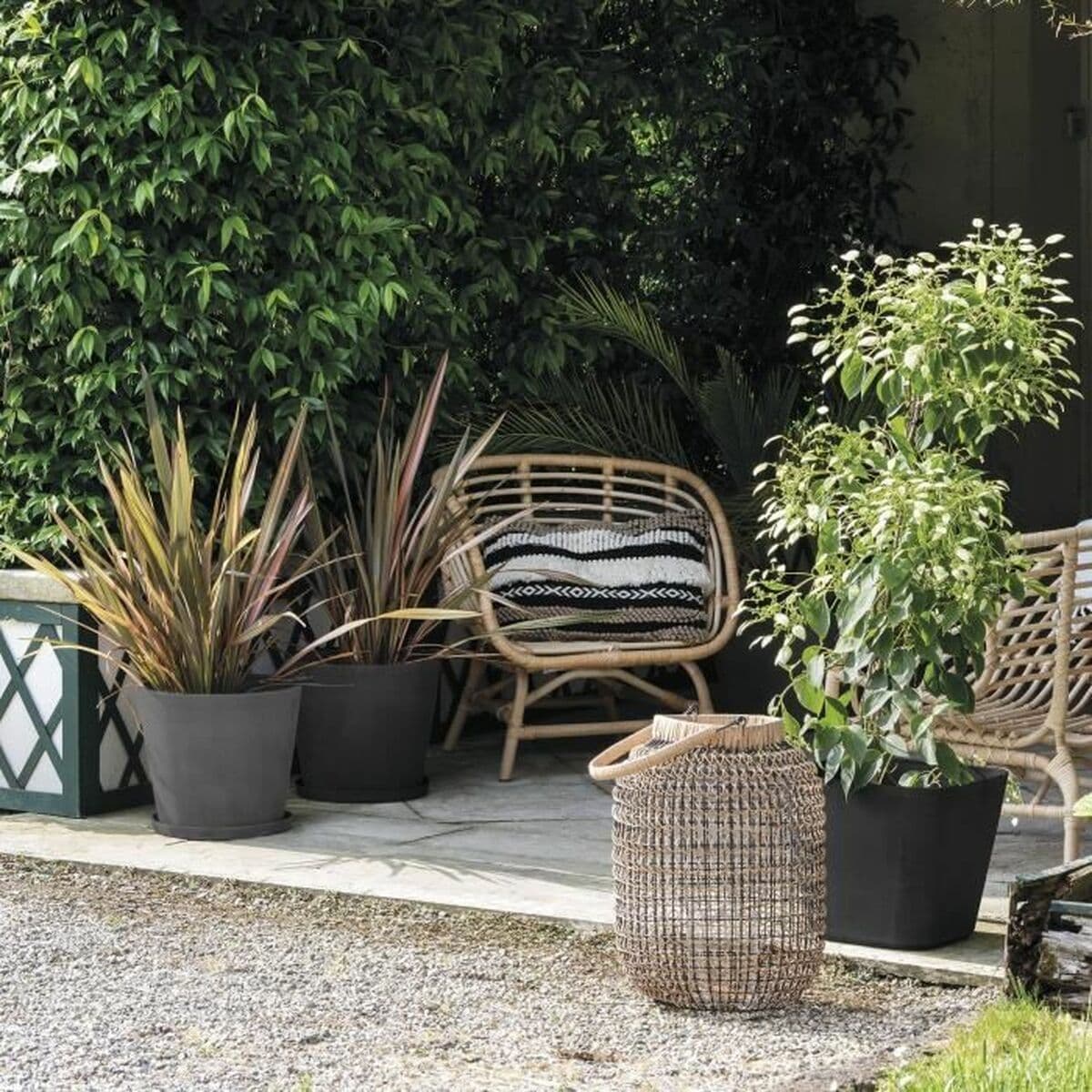 Kruka Deroma — thumbnail 6