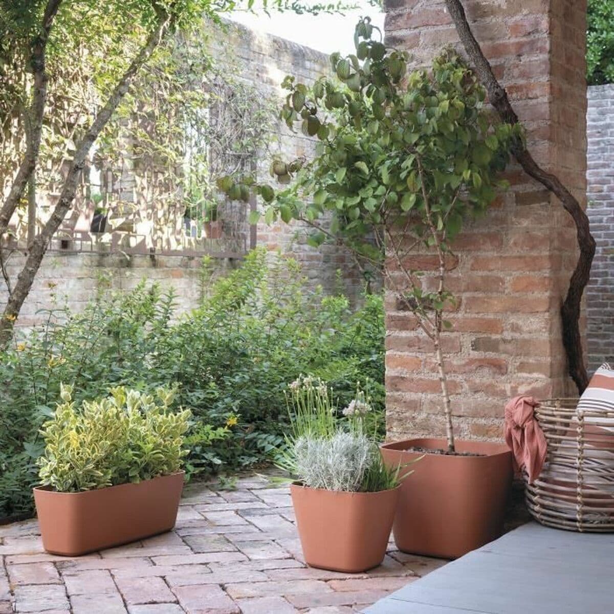 Kruka Deroma — thumbnail 4