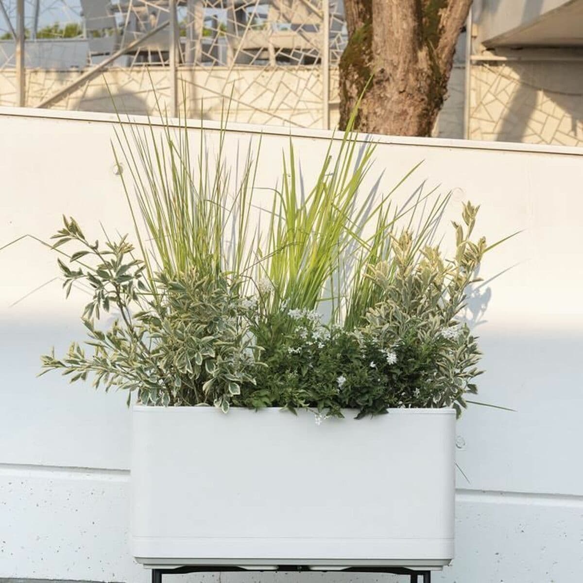 Självvattnande planter Deroma Pärla 78 x 38 x 39 cm Plast Rektangulär Ø 78 cm — thumbnail 5
