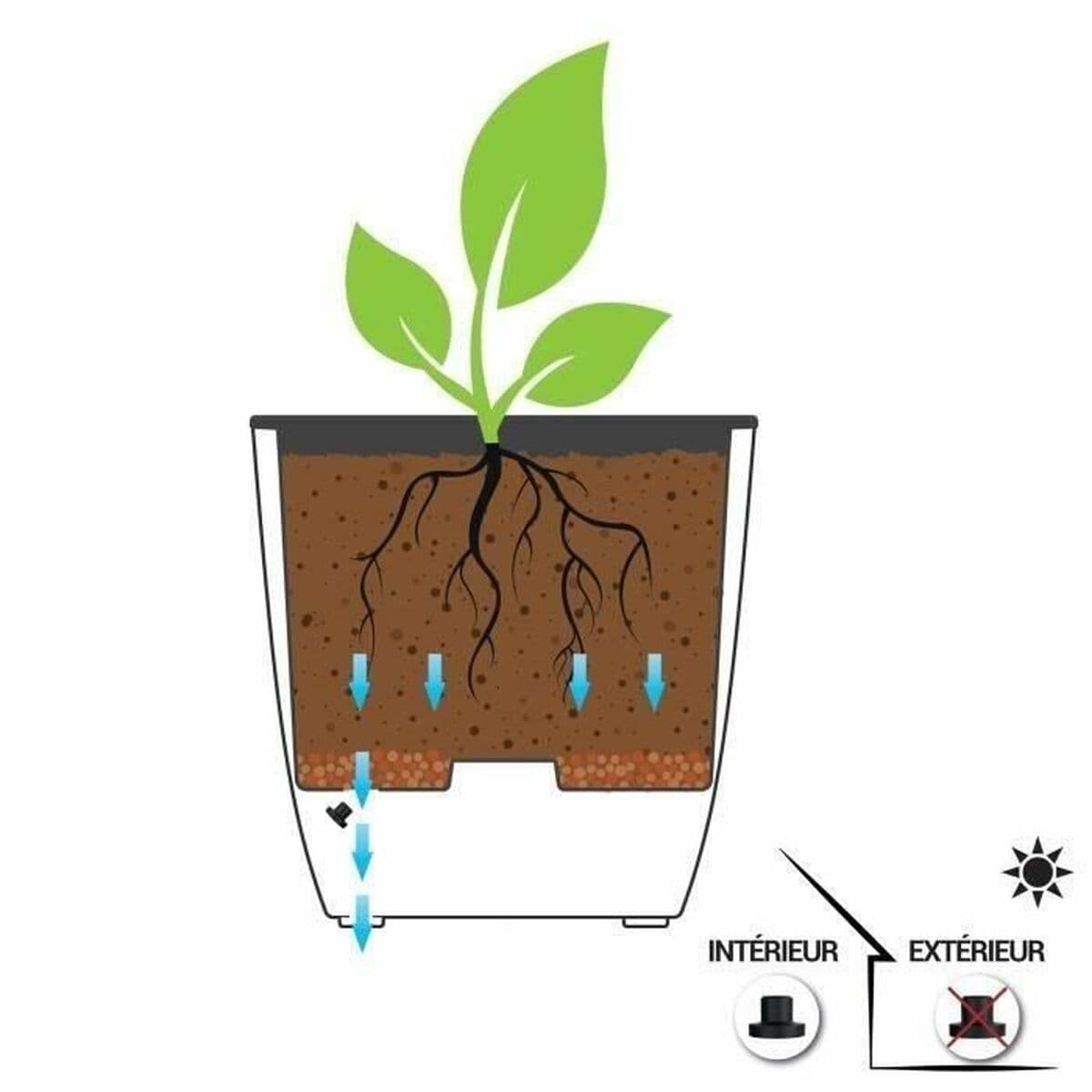 Kruka EDA — thumbnail 4