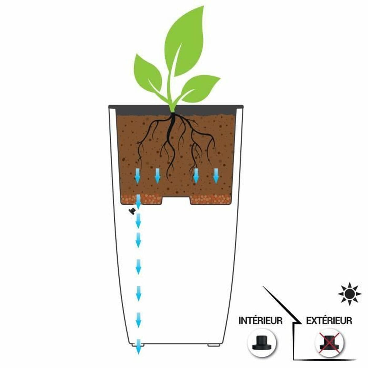 Kruka EDA — thumbnail 3