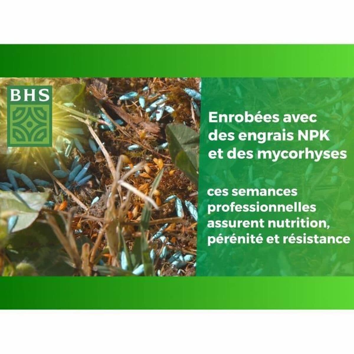 Frön BHS 3 Kg — thumbnail 2