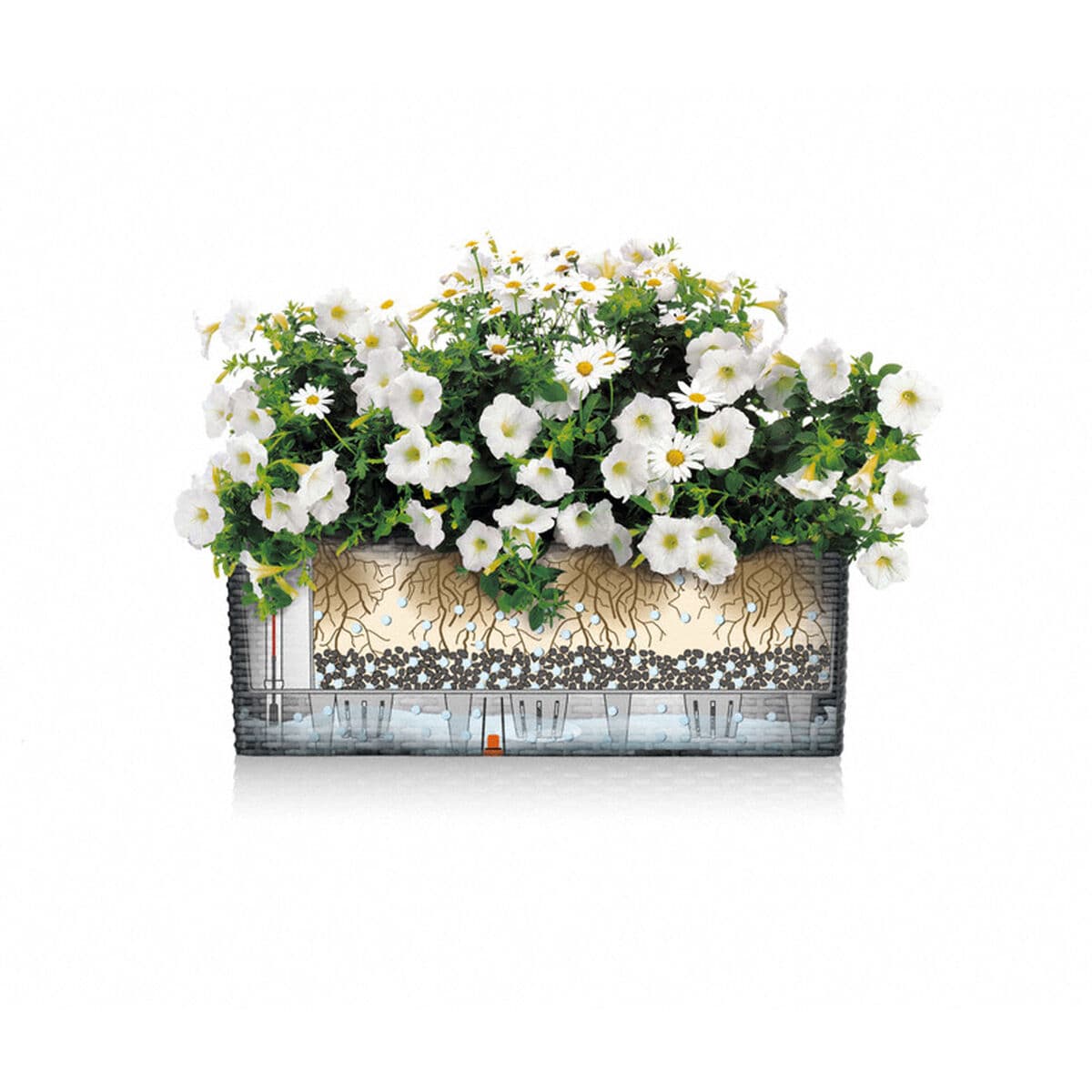 Kruka Lechuza Vit Svart polypropen — thumbnail 6