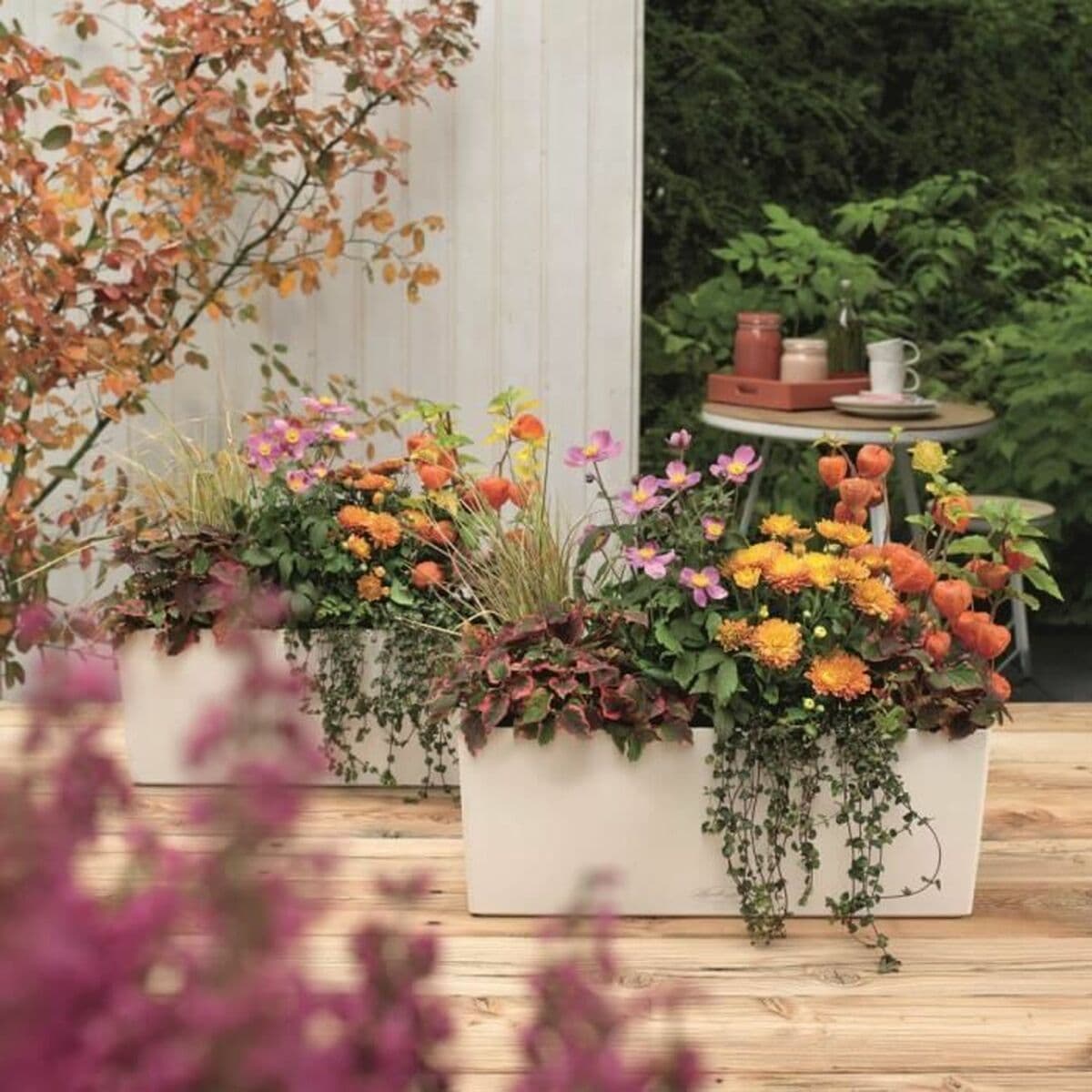 Kruka Lechuza Vit Svart polypropen — thumbnail 4