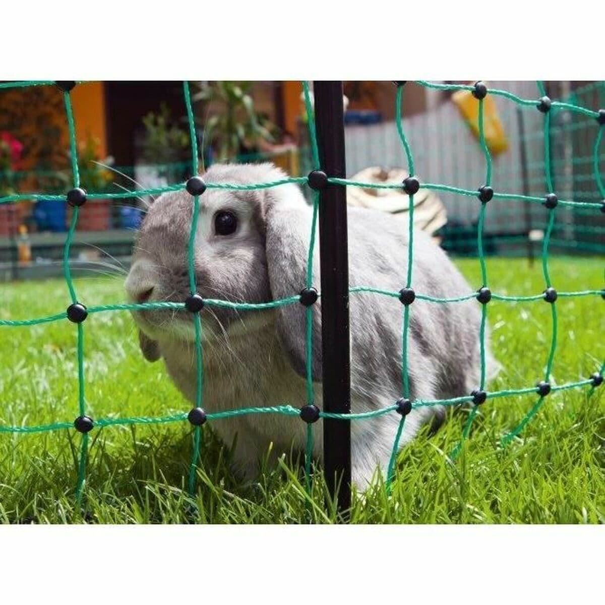 Skyddsnät för Husdjur Kerbl Grön — thumbnail 3