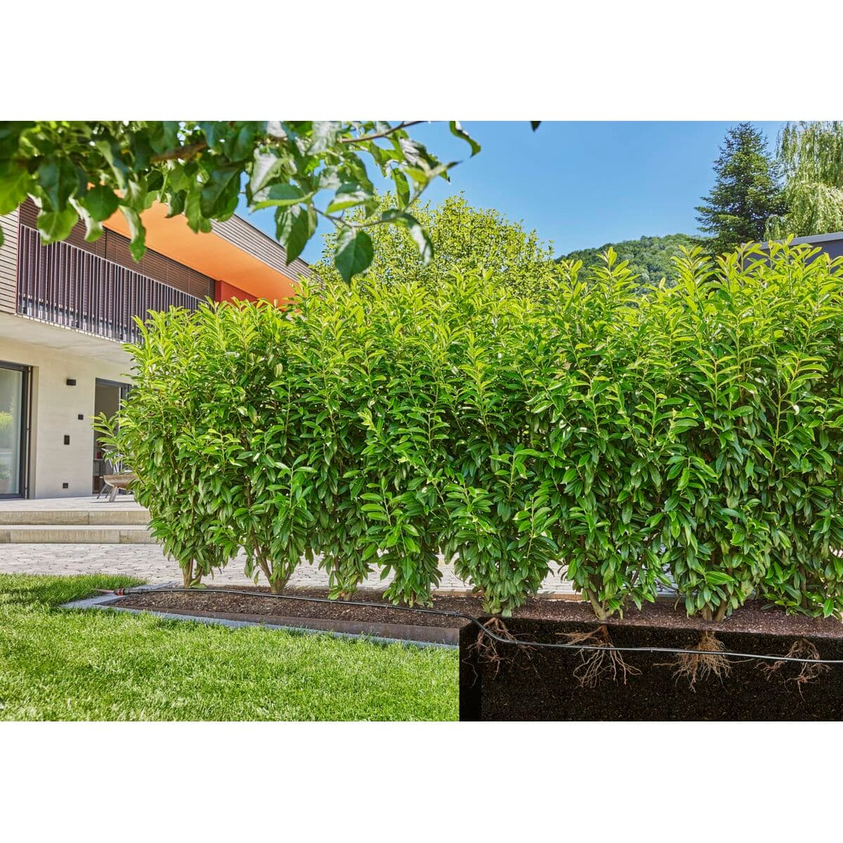 Droppbevattningssystem Gardena 13501-20 — thumbnail 13