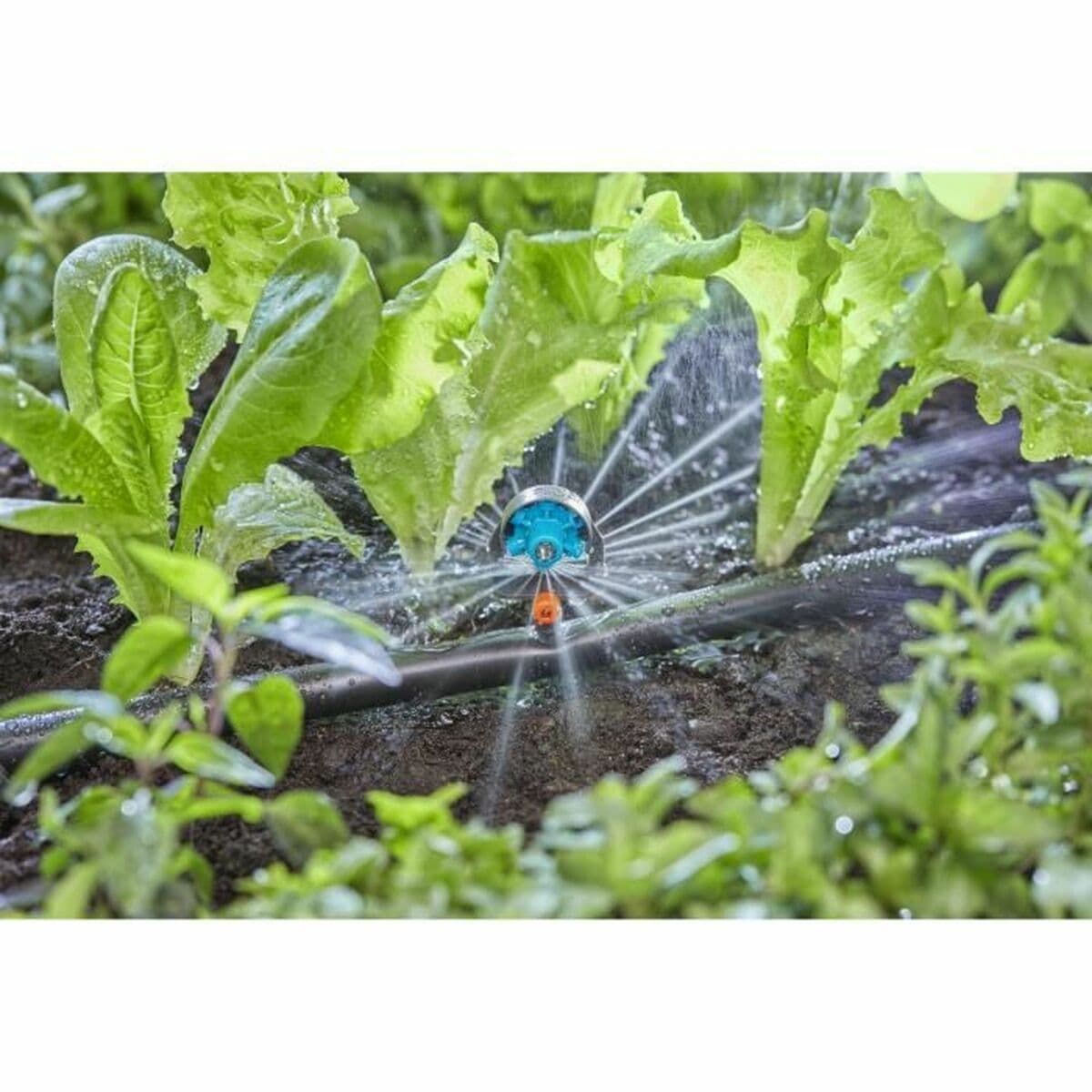 Mikrosprinkler Gardena Micro-Drip 13324-20 Plast 13 mm — thumbnail 2