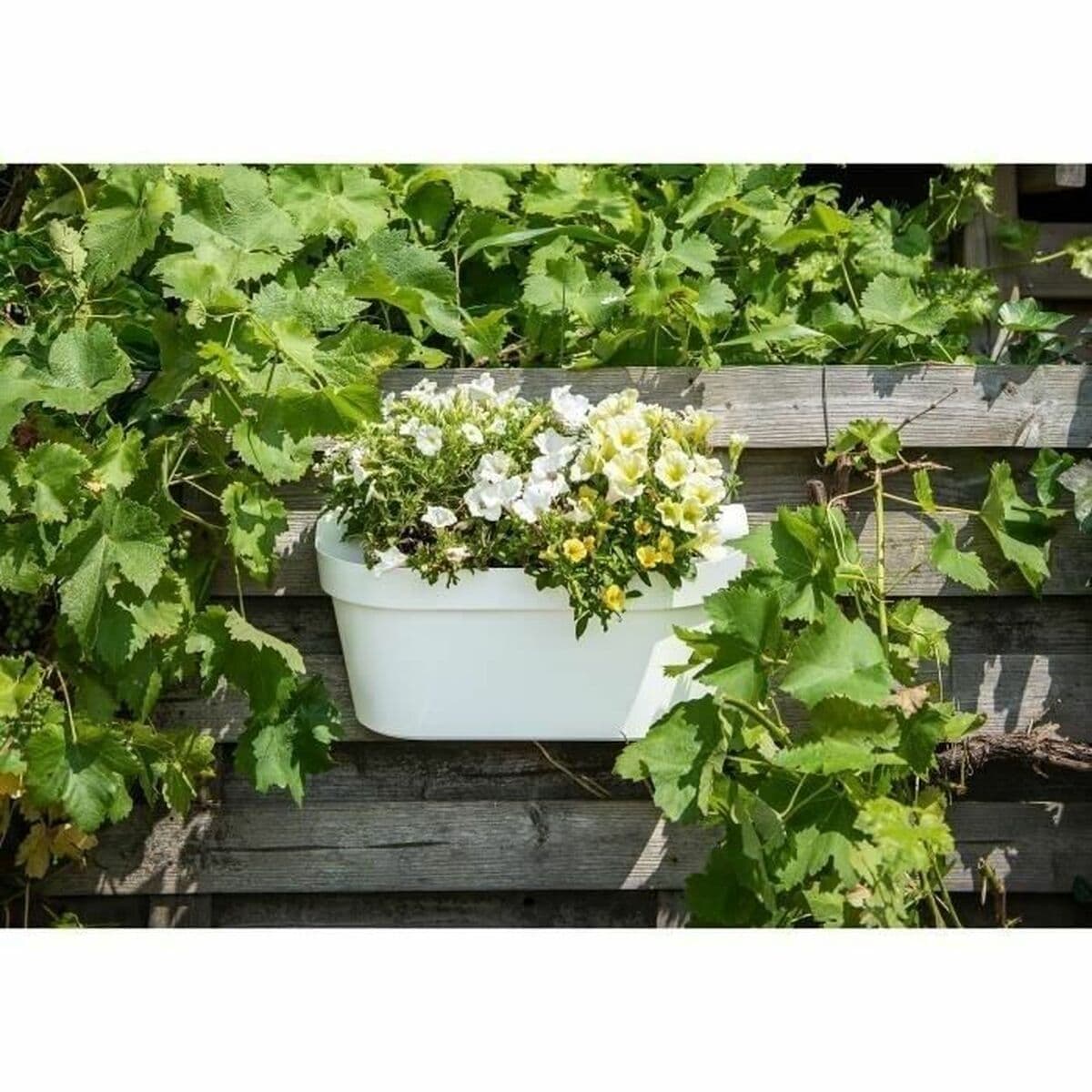Självvattnande planter Garden ID Vit — thumbnail 2