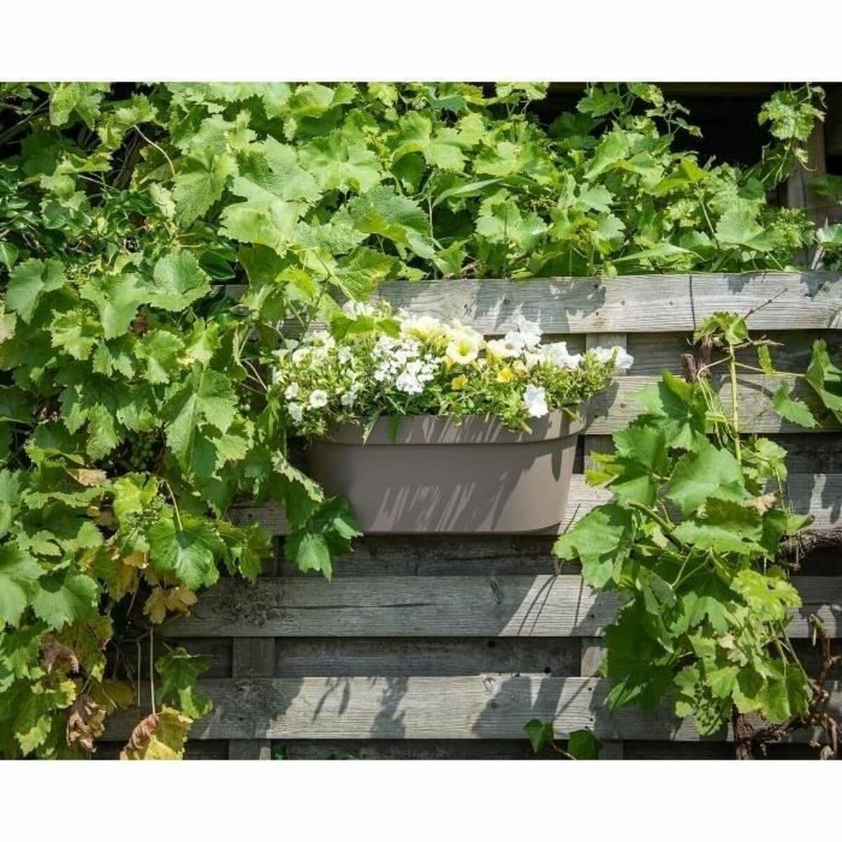 Självvattnande planter Garden ID Beige-brun (taupe) — thumbnail 3