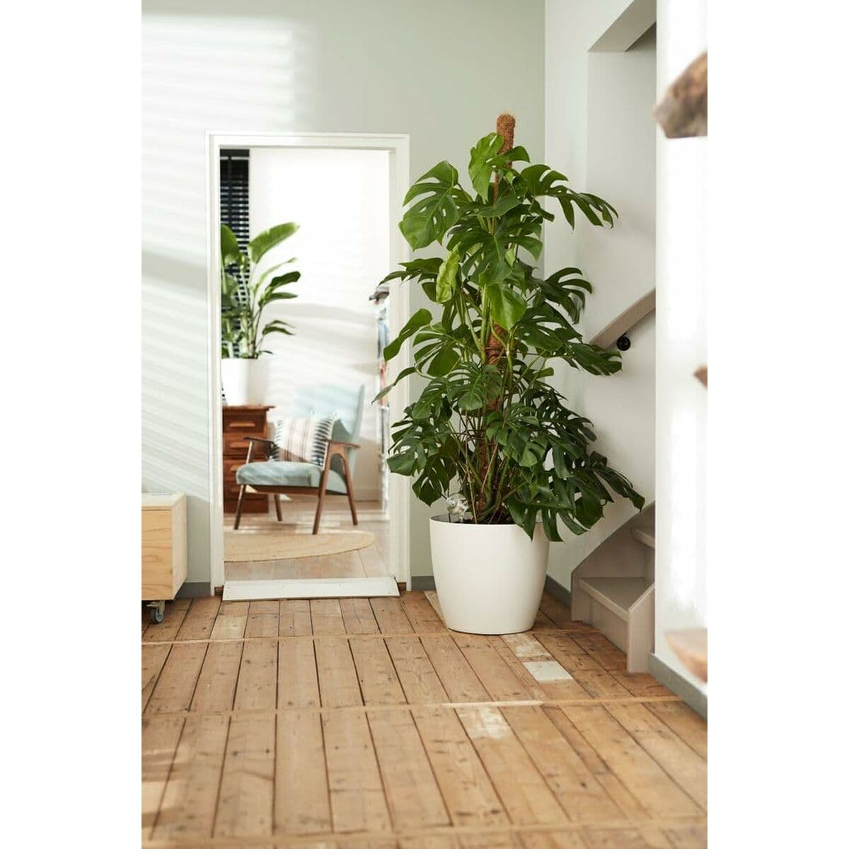 Krukset Elho Vit Plast Rund 2 Delar — thumbnail 10