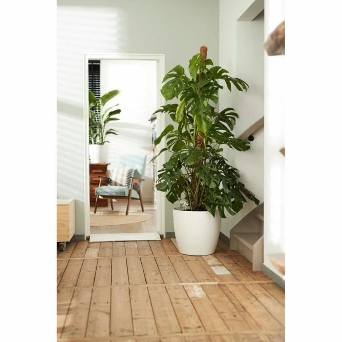 Krukset Elho Vit Plast Rund 2 Delar — thumbnail 9